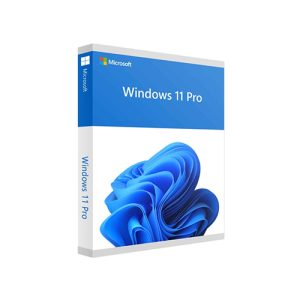 microsoft-windows-11-pro-coem-dvd