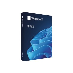 microsoft-windows-11-pro-usb-tc-hav-00155