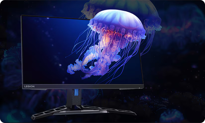 lenovo-legion-r25f-30-monitor-info-06