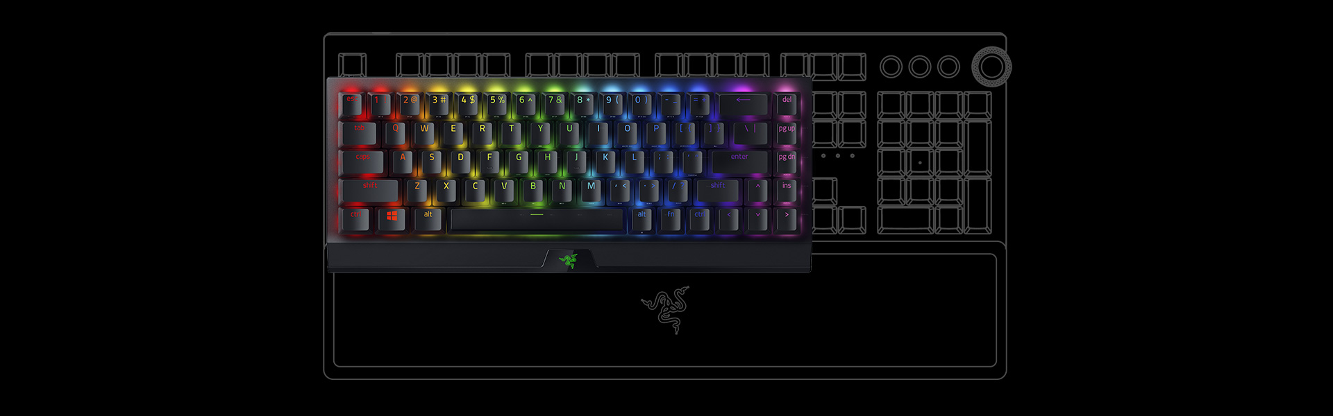 razer-blackwidow-v3-mini-hyperspeed-info-02